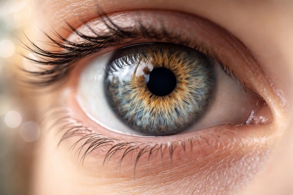 Combien de Temps Dure un Décollement du Vitré : la Durée Réelle