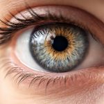 Combien de Temps Dure un Décollement du Vitré : la Durée Réelle