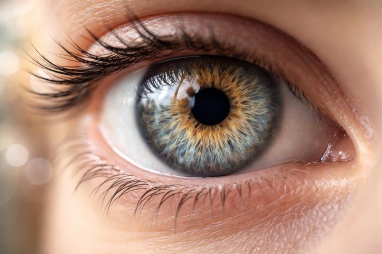 Combien de Temps Dure un Décollement du Vitré : la Durée Réelle