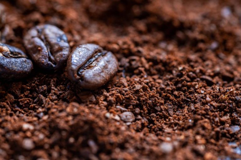 Café moulu : quel profil aromatique selon votre torréfaction ?