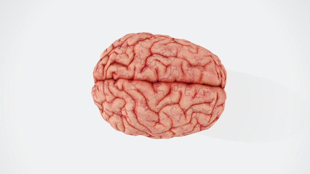 Magnésium et cerveau : à quoi sert le magnésium L-thréonate ?